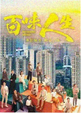雾港谜案 剧集封面